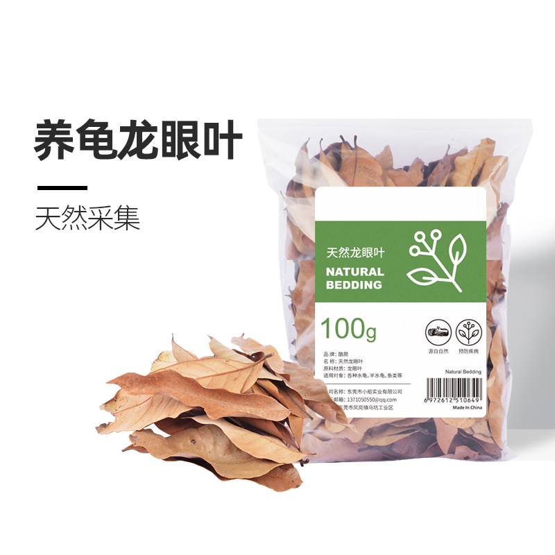 乌龟龙眼叶生态造景躲避休息专用