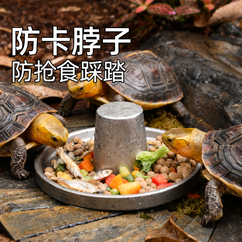 乌龟喂食盘304不锈钢饮水器半水龟专用食盘爬宠喂水盆防抢食易洗,宠物/宠物食品及用品,爬宠饮水器/水盆,淘宝优惠券,粉丝福利购,淘宝优惠卷