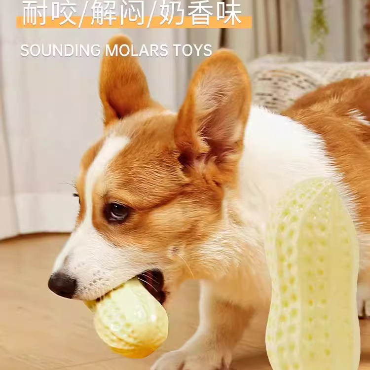 狗狗发声磨牙玩具耐咬解闷奶香味宠物互动性玩具发声玩具宠物玩具