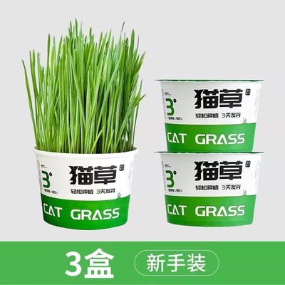 猫草盆栽种籽育苗盘懒人水培