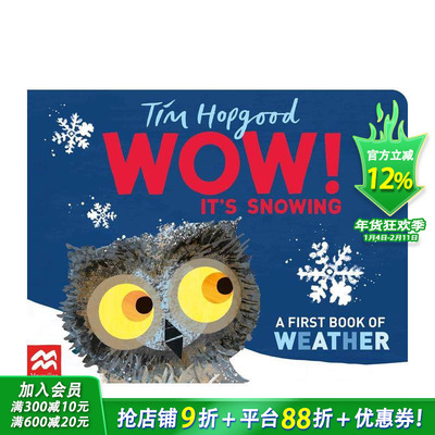【预售】哇！下雪了 WOW! It's Snowing 原版英文儿童插画绘本 进口图书