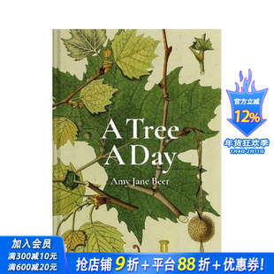 【现货】每日一树A Tree A Day 自然植物百科科普彩图图集 英文原版 Amy-Jane Beer 树木品种丛林地理 图书