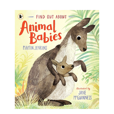 【现货】英文原版 Find Out About Animal Babies 了解动物宝宝Martin Jenkins Jane McGuinness动物知识趣味儿童启蒙绘本书