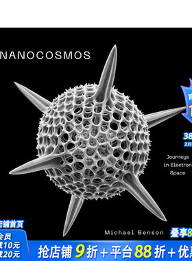 【预售】纳米宇宙：电子空间之旅 Nanocosmos: Journeys in Electron Space 原版英文摄影作品集 正版进口书