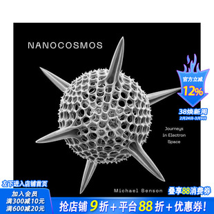 【预售】纳米宇宙：电子空间之旅 Nanocosmos: Journeys in Electron Space 原版英文摄影作品集 正版进口书