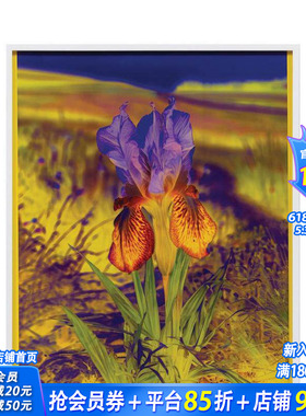 【现货】丽莎·奥本海姆：永恒的替代 Lisa Oppenheim The Eternal Substitute 原版英文艺术画册画集 正版进口书
