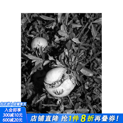 【预售】Jacopo Benassi：博洛尼亚肖像 Jacopo Benassi: Bologna Portraits 原版英文摄影作品集肖像 正版进口书