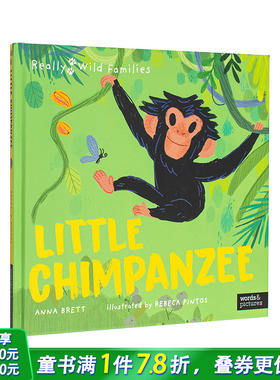 【现货】小黑猩猩：黑猩猩宝宝的一天 Little Chimpanzee: A Day in the Life of a Baby Chimp 3岁+英文儿童故事绘本 进口童书