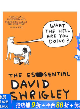 【预售】英国插画师David Shrigley：你到底在干嘛？ What The Hell Are You Doing? 原版英文艺术画册画集 正版进口书