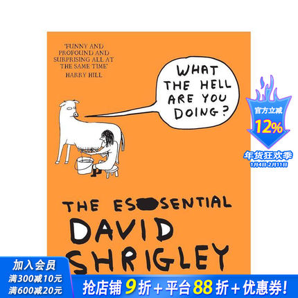 【预售】英国插画师David Shrigley：你到底在干嘛？ What The Hell Are You Doing? 原版英文艺术画册画集 正版进口书