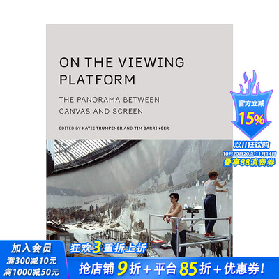 【预售】On the Viewing Platform 观景平台:画布和屏幕之间的全景 英文原版
