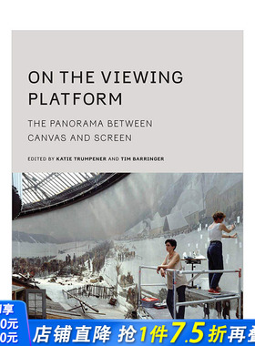 【预售】On the Viewing Platform 观景平台:画布和屏幕之间的全景 英文原版