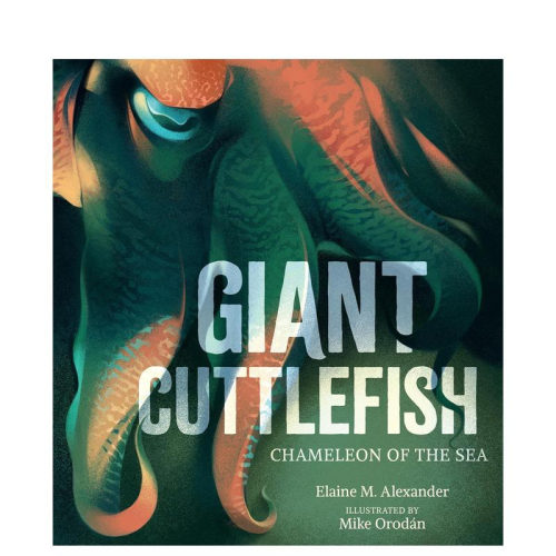 【现货】【深海生物】型墨鱼 【Creatures of the Deep】Giant Cuttlefish 精装英文儿童插画科普绘本 进口童书