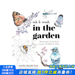 昆虫 预售 水墨画：鸟类 英文艺术画册 进口书 Garden 野生动物等水彩画和水墨画 花园里 Wash Ink 正版 the