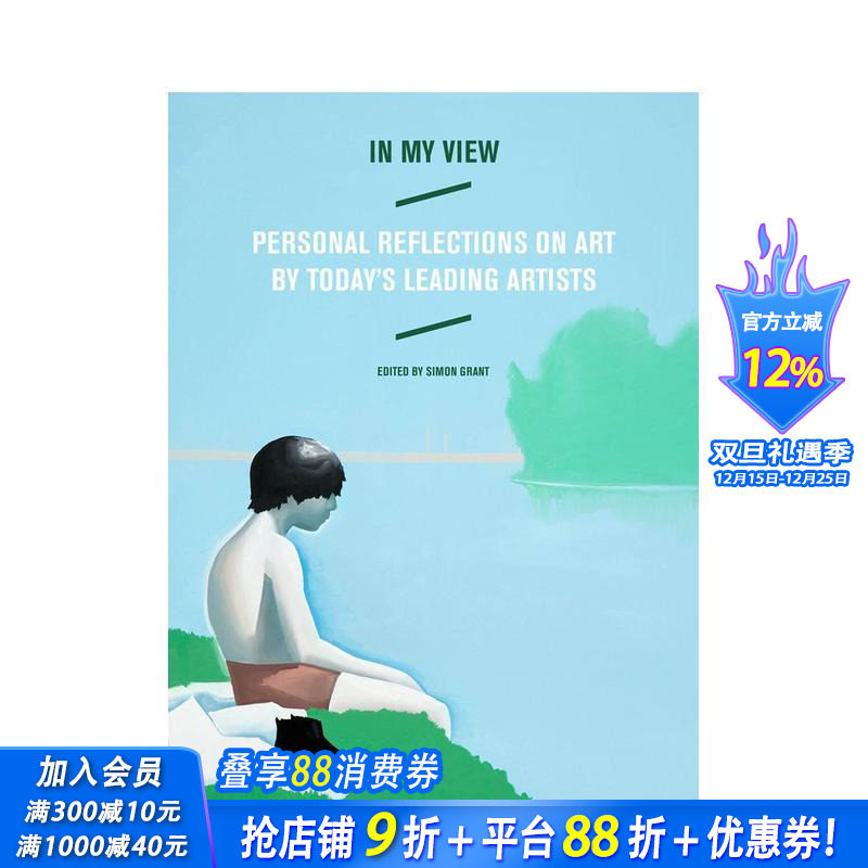 艺术家的观点 In My Vi