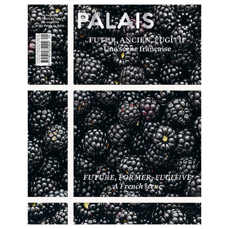 订阅 Palais 艺术杂志 法国英文/法语原版 年订2期 A168 年订2期