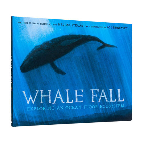 【现货】英文原版 鲸落：探索海底生态系统 Whale Fall 精装艺术插画绘本 动物生态环保自然科普 儿童英语进口图书