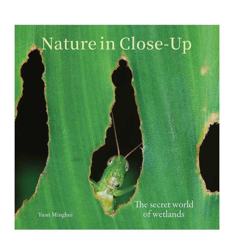 【预售】【中国文化视角】自然微距:湿地的隐秘世界China Culture Perspectives|Nature in Close-Up英文摄影作品集自然景观进口书