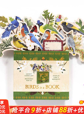 【现货】创意花盆礼品书Birds in a Book 书中鸟 养鸟宠物鸟送礼物书籍 翻翻立体书 英文书正版 Rachel Grant Lesley Earle