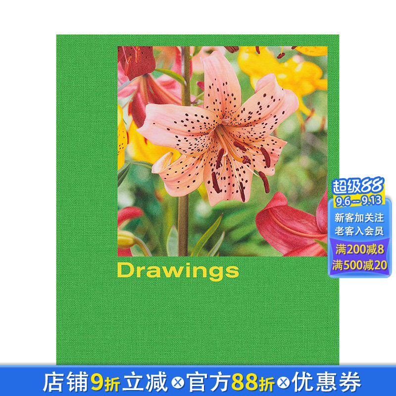 【预售】Mathew Cerletty: Drawings 马修·瑟莱蒂铅笔画艺术绘画作品集 英文原版进口画册 图书