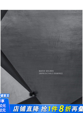【预售】英文原版 不可预测的图画 David Goldes: Unpredictable Drawings 艺术画册 正版进口书籍 善优图书