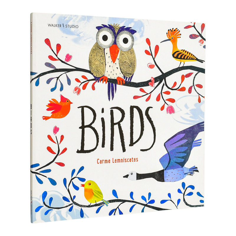 【预售】小鸟 Birds 英文儿童插画故事绘本 进口童书