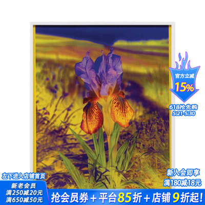【现货】丽莎·奥本海姆：永恒的替代 Lisa Oppenheim The Eternal Substitute 原版英文艺术画册画集 正版进口书