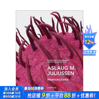 【预售】阿斯劳格?M?尤利乌森：交汇点 Aslaug M. Juliussen : Intersections 原版英文艺术画册画集 正版进口书