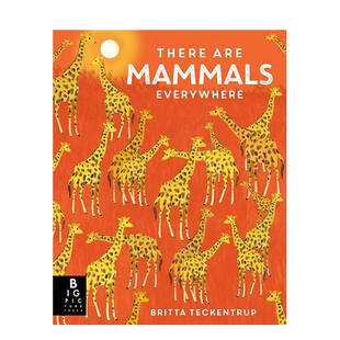 【现货】英文原版 随处可见的哺乳类动物 There are Mammals Everywhere 精装艺术插画绘本 自然知识科普 6岁以上 进口儿童图书