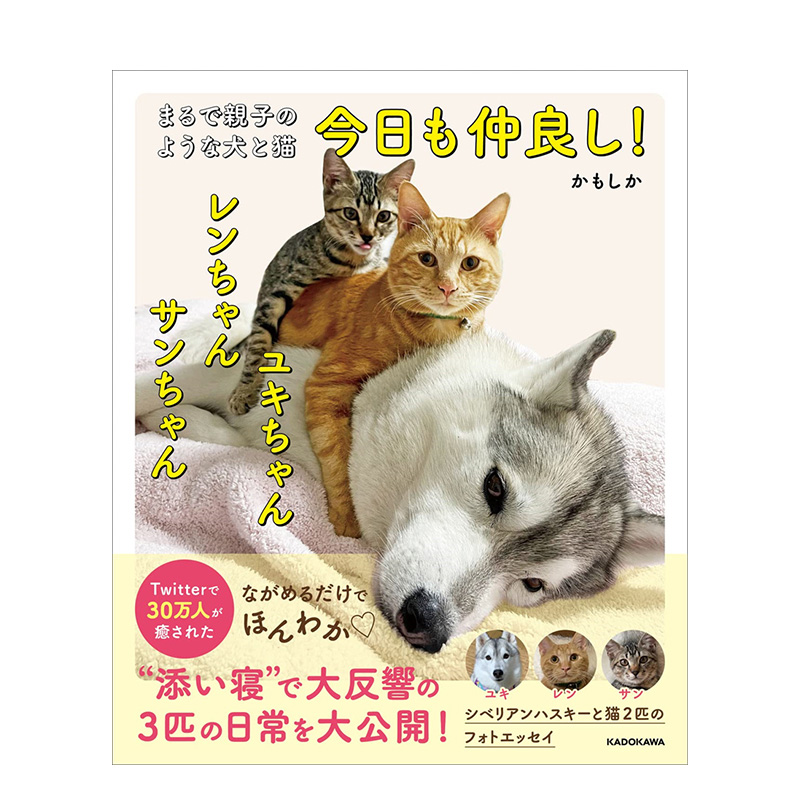 【现货】日文原版 亲密无间的猫咪与狗狗写真集 まるで亲子のような犬と猫 今日も仲良し! 日本正版进口书
