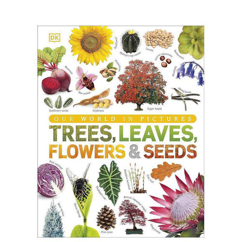 树、叶子、花和种子：植物王国的