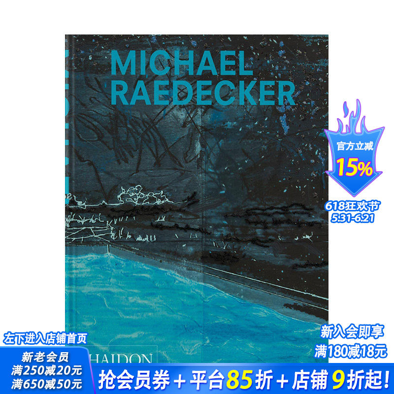 【现货】英文原版 荷兰艺术家迈克尔·雷德克尔 Michael Raedecker 艺术画册 正版进口图书 善优图书