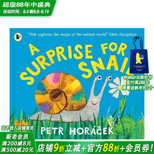 蜗牛的惊喜（平装） A Sur