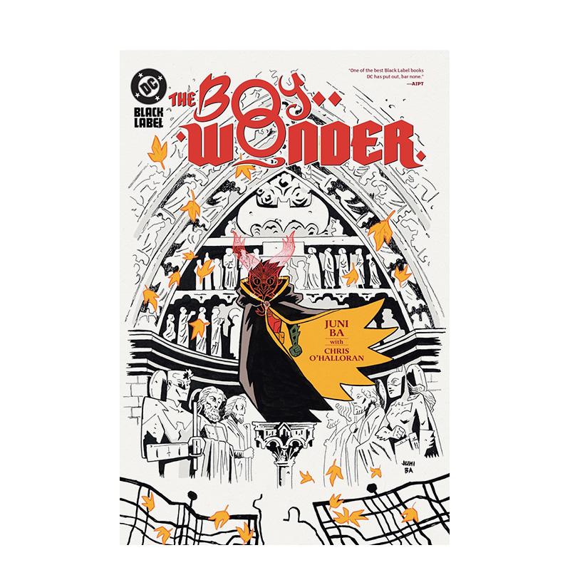 达米安罗宾神奇小子 精装版合集