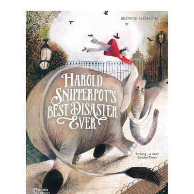 【现货】哈罗德遇见的灾难【Beatrice Alemagna】 Harold Snipperpot’s Best Disaster Ever 英文儿童插画故事绘本 进口童书