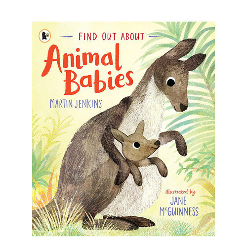 【现货】英文原版 Find Out About Animal Babies 了解动物宝宝Martin Jenkins Jane McGuinness动物知识趣味儿童启蒙绘本书