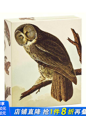 【预售】奥杜邦猫头鹰：速记卡片册 Audubon Owls QuickNotes 原版卡牌 正版进口书