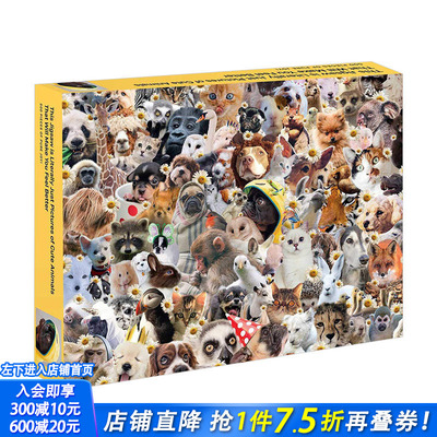 【现货】疗愈宠物拼图500片 进口文创  Literally Just Pictures of Cute Animals That Will Make You Feel Better