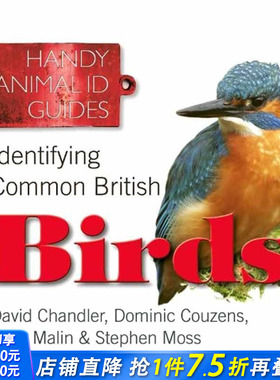 【现货】Identifying Common British Birds，识别常见的英国鸟类 图书籍进口正版 David Chandler|Russ Malin 生活综合
