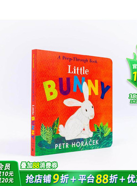 【预售】【英国插画师Petr Horácek】小兔 Little Bunny 英文儿童趣味互动  英语早教进口童书