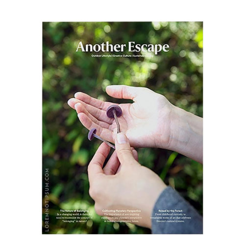 Another Escape