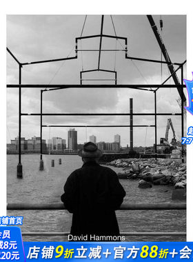 【预售】大卫·哈莫斯：日的终结 David Hammons : Day's End 原版英文艺术画册画集 正版进口书