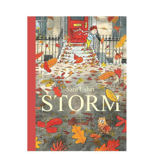 风暴 Storm 原版英文儿童