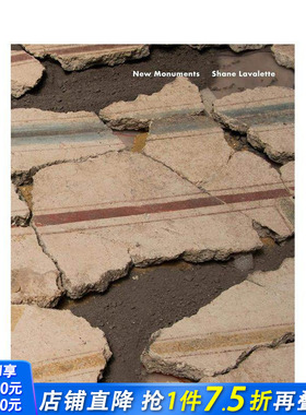【现货】英文原版 谢恩·拉瓦莱特 ：新纪念碑 【Season Series】Shane Lavalette ：New Monuments 摄影师 正版进口书画册