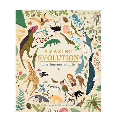 【现货】英文原版 惊人的进化：生命的旅程 Amazing Evolution 精装艺术插画绘本 自然环保科普 10岁以上 进口儿童图书 善优童书
