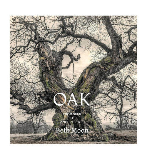 橡树：从种子到古树 Oak: