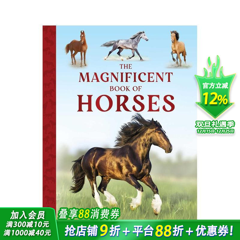 骏马奇观录 Magnifice