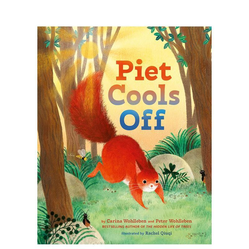 皮特冷静下来 Piet Coo