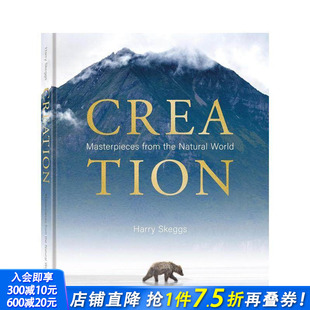 世界自然摄影奖Harry Skeggs 正版 现货 进口书 英文摄影作品集自然景观 创造 原版 Creation
