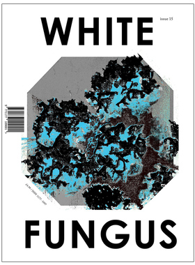订阅 White Fungus银耳 前卫艺术杂志 台湾台中英文原版 年订1期 A112 年订1期